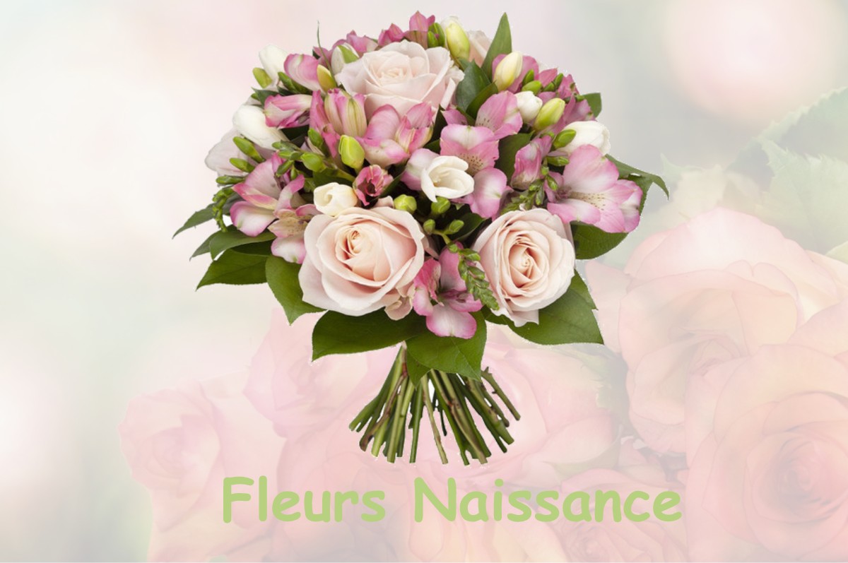 fleurs naissance PECHBUSQUE