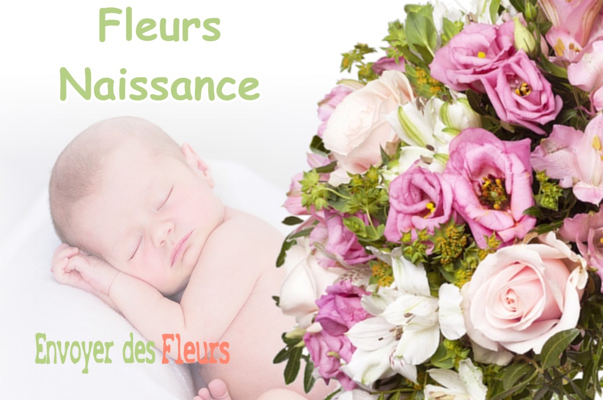 lIVRAISON FLEURS NAISSANCE à PECHBUSQUE