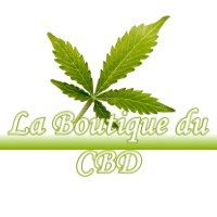 LA BOUTIQUE DU CBD PECHBUSQUE 